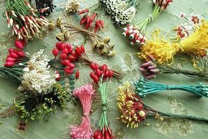 Штучні флористичні тичинки: використання в рукоділлі та декорі фото