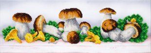 Набор для вышивки бисером "Грибной бум", 50х17,5 см 1-ТН-0870 фото